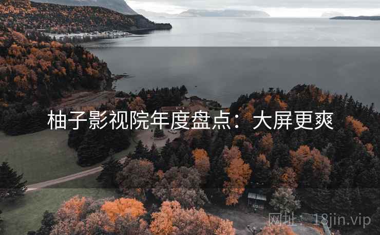 柚子影视院年度盘点：大屏更爽